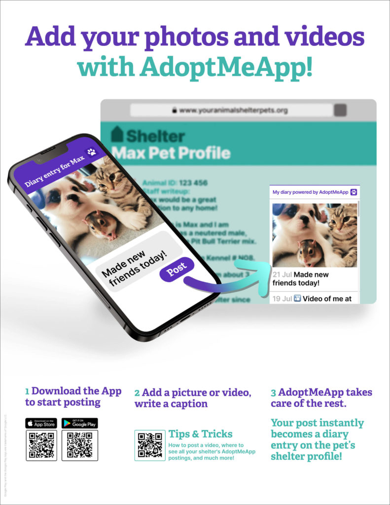 Adopt Me Pets Store Reviews  Read Customer Service Reviews of  adoptmepets.store